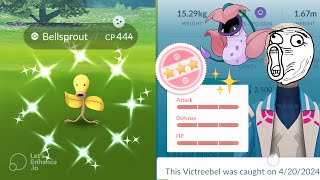 OMG I Got ✨Shundo Victreebel On Community Day #pokemongo