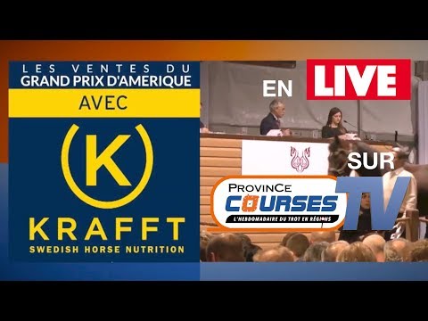 Les Ventes du Grand Prix d'Amérique EN DIRECT qualifications tradução