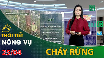 Thời tiết nông vụ 25/04/2022: Phòng chống cháy rừng ở Quảng Ngãi | VTC14