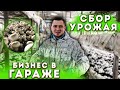 Бизнес В Гараже. Сбор Урожая. 10 Тонн