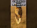 Best Study Motivational Shayari Shots Viral Shots Like Subscribe Comment Study Motivation 