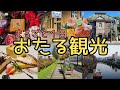 【観光】おたる日帰り観光　インスタ映えスポット　北海道　LeTAO　小樽運河　海鮮丼　旧手宮線跡地　半身揚げ　Otaru day trip
