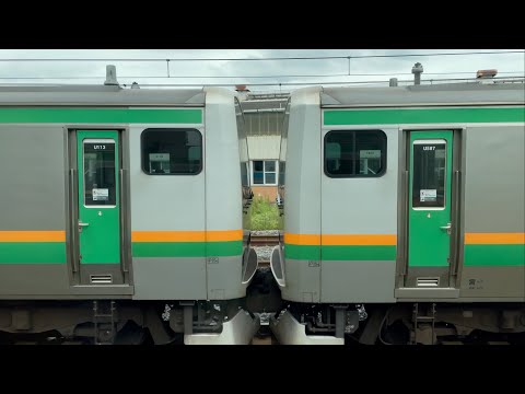 【大接戦】JR湘南新宿ラインvs上野東京ラインの激しい並走バトル！