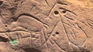 White Mountain Petroglyphs