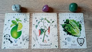 ✨🩷WHAT WILL HAPPEN BETWEEN US? WHAT'S THE FUTURE OF THIS CONNECTION ? ✨🩷PICK A CARD✨🩷