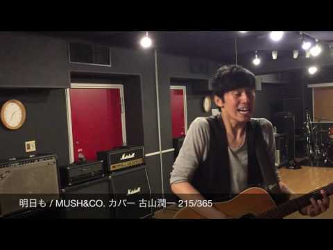 明日も / MUSH&CO. カバー 古山潤一 215/365