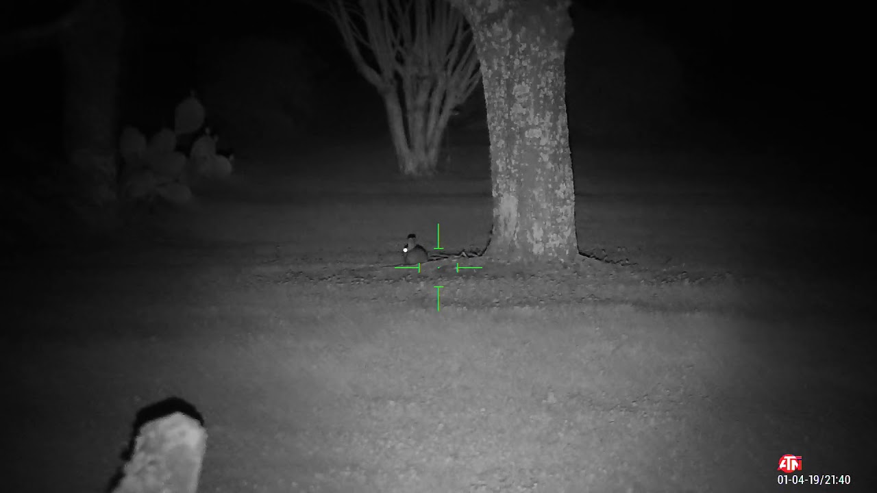 Testing ATN x-sight 4K pro 3-14