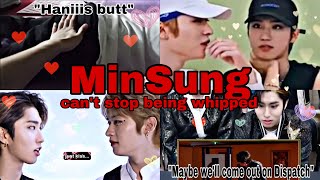 MINSUNG THINGS YOU DIDN‘T NOTICE Part 1 (New Moments 2020)