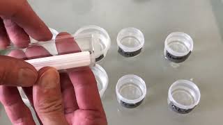 2024 weed strains I’m growing.  HOW TO start the germination process