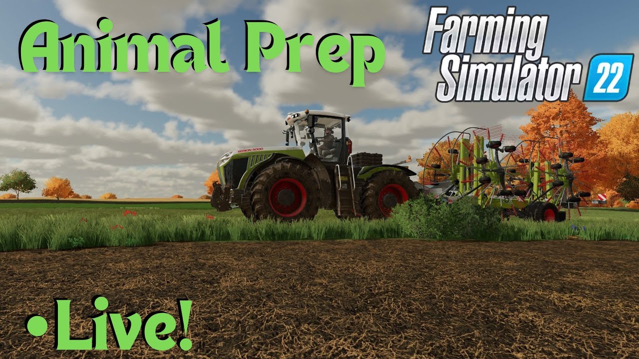 Getting Fields Ready For Animals Maybe A Poplar Harvest! Farming Simulator 22 FS22