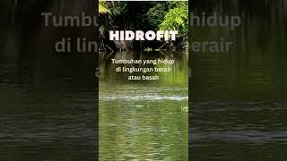 Apa itu Xerofit, Hidrofit, dan Higrofit?