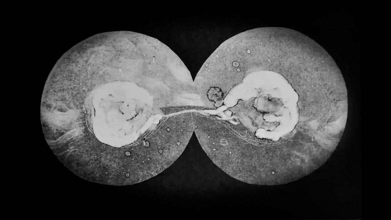 Luke De-Sciscio - I Had A Boat (Official video)