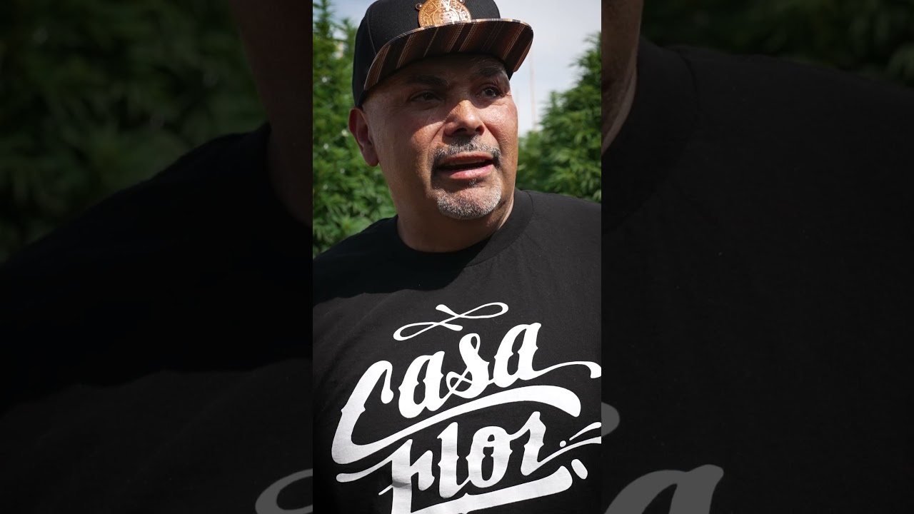 Huckleberry hill and Casa Flor Whitethorn Rose X Flight 23