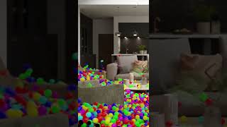 Balls!! A lot of balls in your house
Balls!! A lot of balls in your house Balls!! A lot of balls in your house