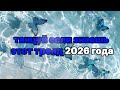 Танцуй если знаешь этот тренд 2026 года 🍓