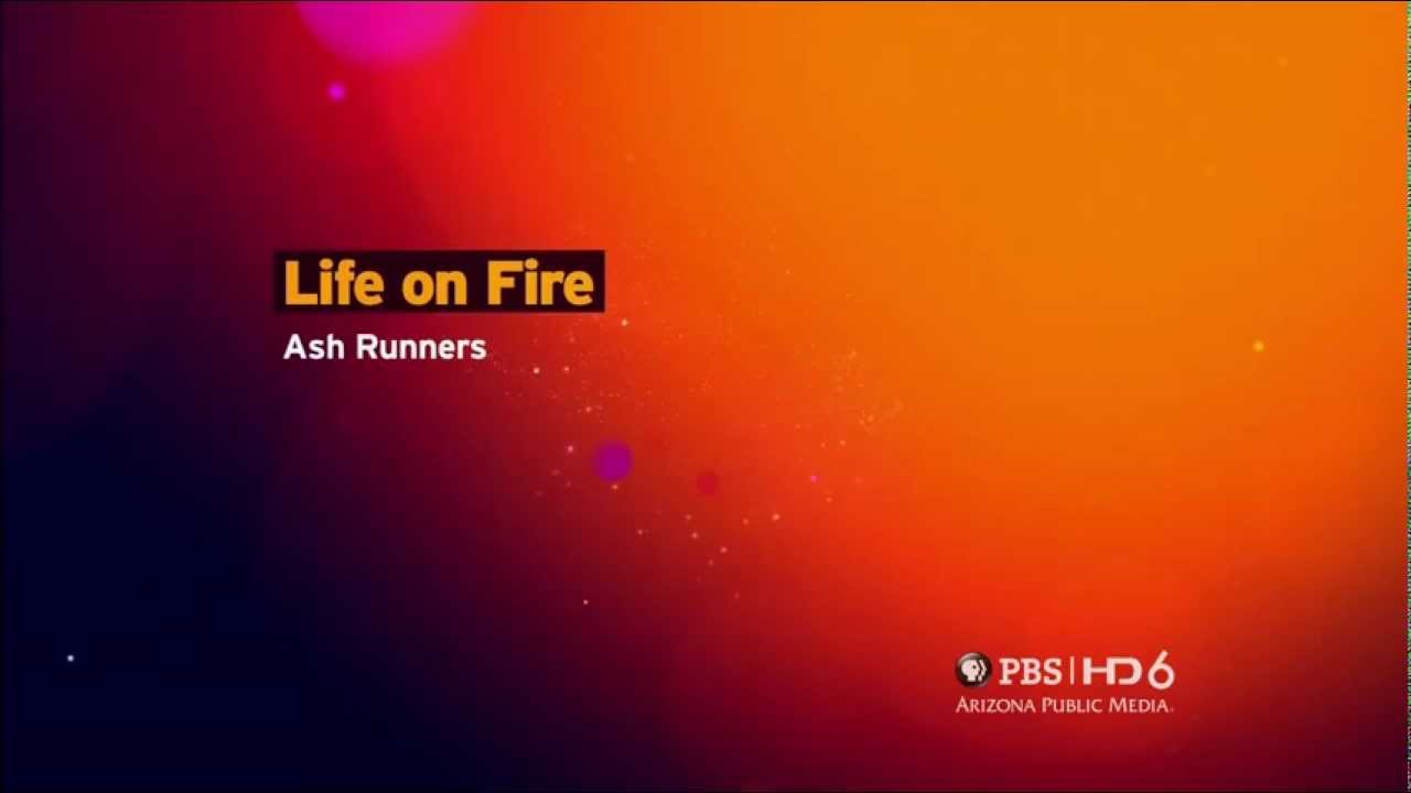 Life on Fire: Ash Runners