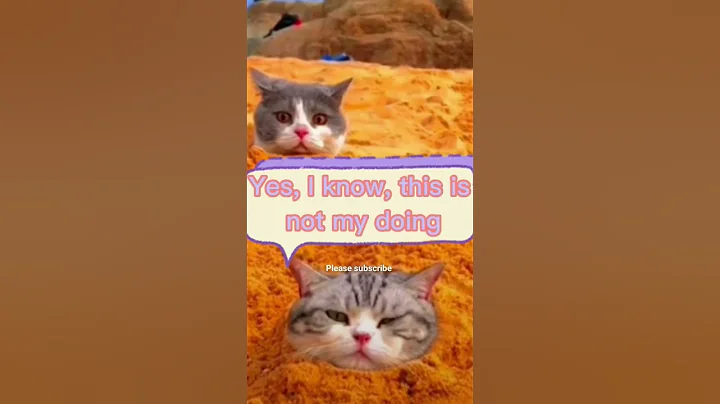 Watch the video about Cute headed sand #shorts #shortsfeed #catlovers #petshop #tv #viralcat #funnycats #streetcats #meow