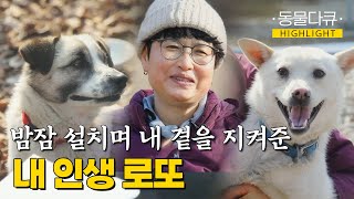 [동물극장 유튜브 오리지널] 아픈 소를 간호할 때 곁을 지켜준 시골 바둑이..🥹 내 인생 로또와 함께 쓰는 50대 청춘일기🏡 | 동물극장 단짝 EP52 | KBS 230311 방송