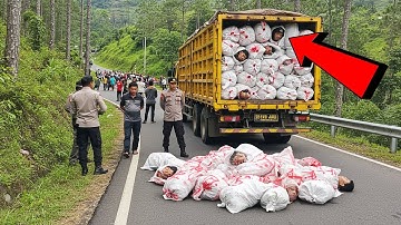 PADANG GEMPAR : Truk Berisi 47 Karung Daging Manusia di Sitinjau Lauik, Ternyata Desa Lakukan Ini