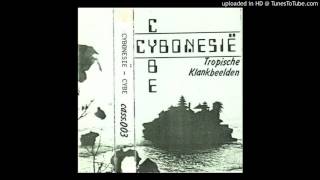 Cybe 三 Cybonesië - Tropische Klankbeelden (1985) FULL ALBUM