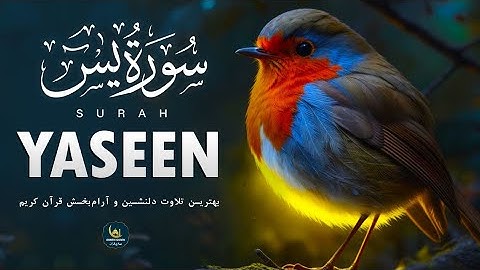 چی زیباست گوش سپردن به صدای قرآن 🎧🤍 سوره یاسین Surah Yasin با صدای زیبای علاء یاسر با ترجمه فارسی 🍃