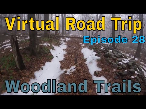 Virtual Road Trip: Woodland Trails