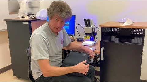 Leica EZ4W dissection scope basics