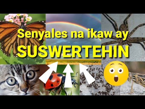 Video: Ano ang ibig sabihin ng maging mas siksik ang isang bagay?