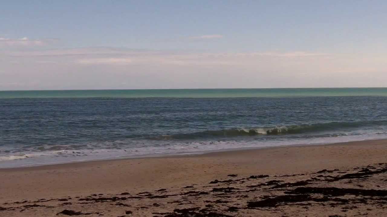 Mold Inspections in Melbourne, FL | Call: (321) 574-5503