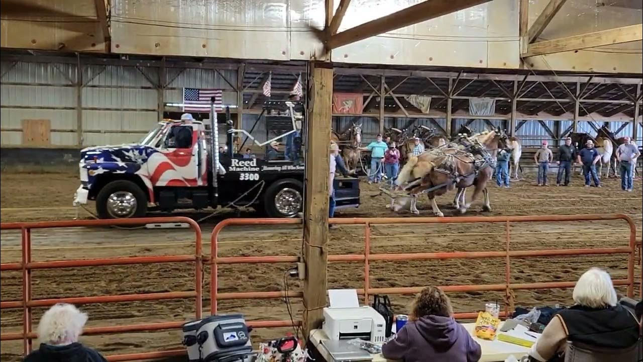 draft-horse-pull-with-bluegrass-horse-pulling-association-youtube