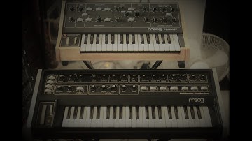 Multimoog vs. Prodigy