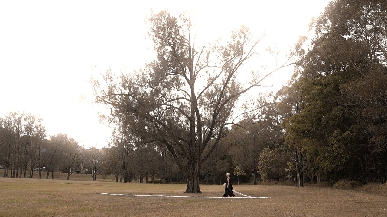 connect with the tree