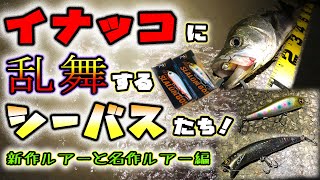 イナッコに乱舞するシーバス達！- 新作ルアーと名作ルアー編 - 東京湾奥イナッコパターン