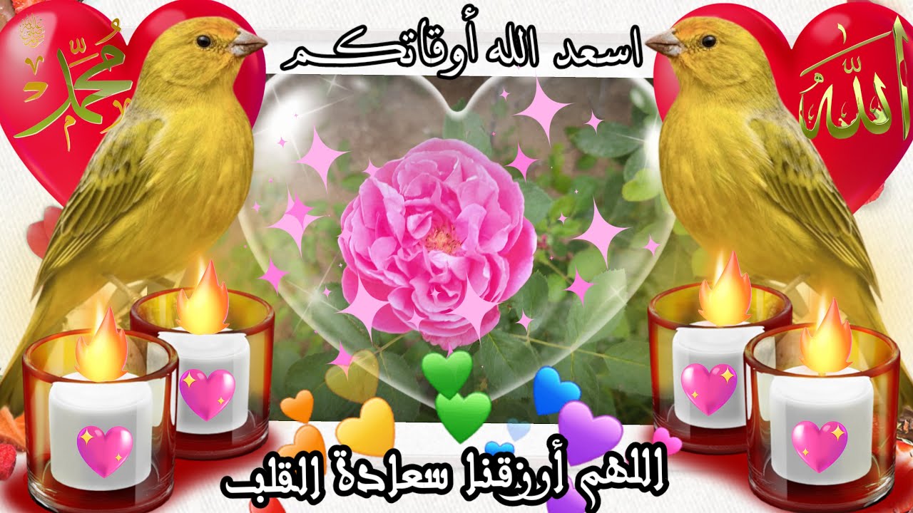 الـلـهـم ارزقـنـا سـعـادة الـقـلـب و طـمـأنـيـنـة الـنـفـس و سـكـيـنـة الـروح