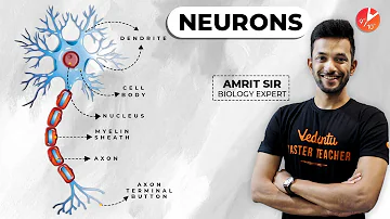 ANIMATED Neurons | Control and Coordination Biology | CBSE Class 10 2023 - 24 @VedantuClass910