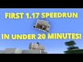 SPEEDRUNNING MINECRAFT 1.17 IN UNDER 20 MINUTES