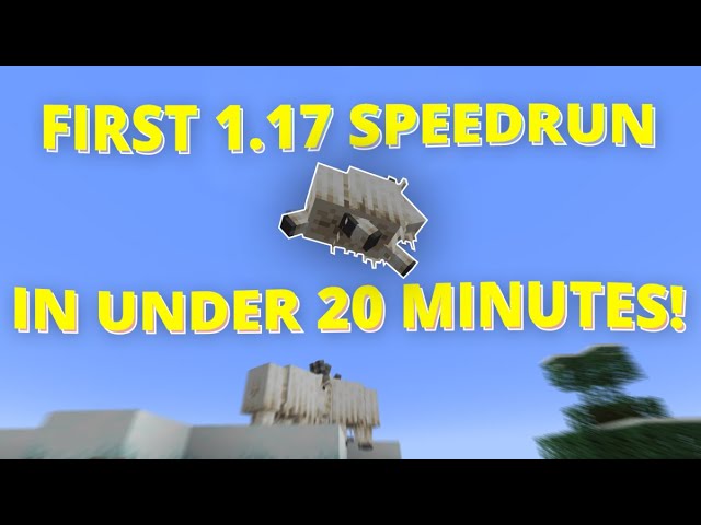 MINECRAFT 1.17 SPEEDRUN IN UNDER 25 MINUTES 