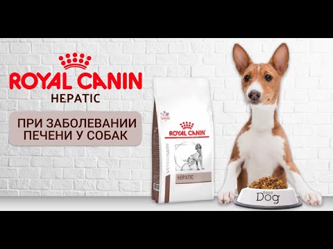 Сухой корм Royal Canin Hepatic при заболевании печени у собак