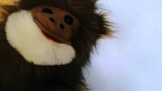 Good Mythical Morning Intro (Matt the monkey)