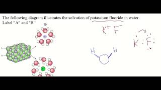 #P1 - Water and Solutions - Solvation