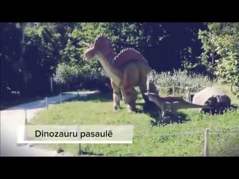 Video: Kur Atrast Dinozauru Kaulus, Fosilijas Visā Pasaulē