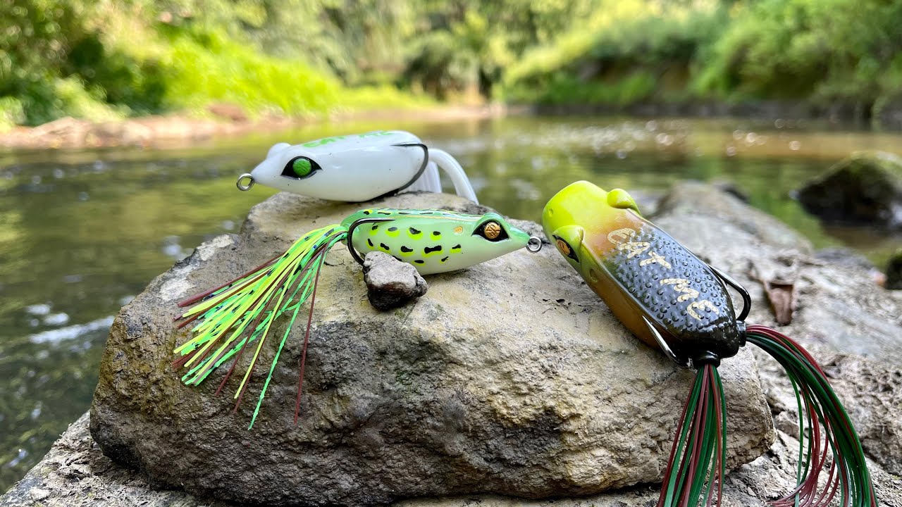 Topwater Frog Fishing for Bass 