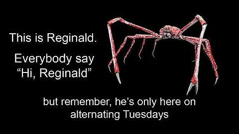 Hi, Reginald
