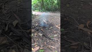 Smoke of cooking food in Cu Chi Tunnel Ho Chi Minh Vietnam ការបង្ហុយផ្សេងពេលចំអិនអាហាររបស់ទ័ពវៀតកុង