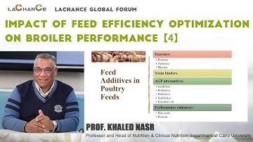 Lachance Forum ｜Prof. Khaled Nasr ｜Impact of Feed Efficiency Optimization on Broiler Performance