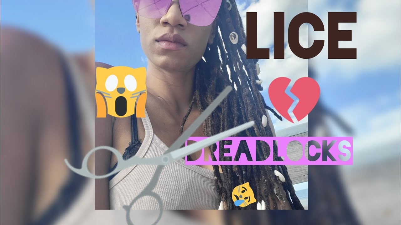 How To Remove Head Lice From Dreadlocks Fast