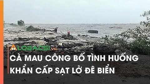 Cà Mau công bố tình huống khẩn cấp sạt lở đê biển