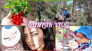 ORNİTOFOBİ (kanatlı hayvan fobisi) - GÜNLÜK VLOG -  BİBER DOLMASI YAPTIM