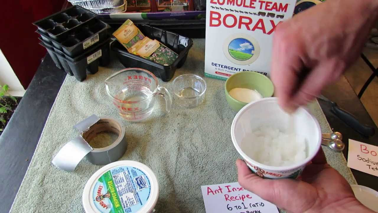 Borax Ant Killer Sugar Bait for Vegetable Gardens