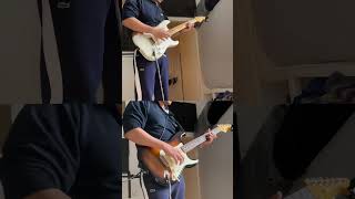 Fender Stratocaster Maple versus Rosewood #guitar #guitarrist #guitarsolo #fender #guitarcover